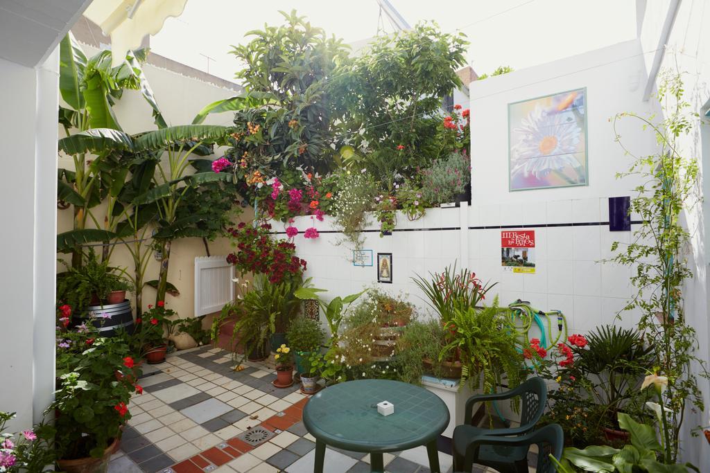 Hostal Campo Nuevo ซันลูการ์เดบาร์ราเมดา ภายนอก รูปภาพ