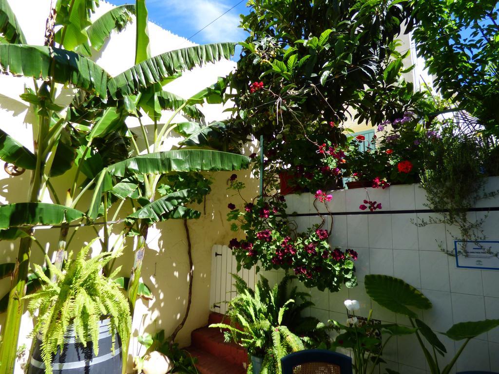 Hostal Campo Nuevo ซันลูการ์เดบาร์ราเมดา ภายนอก รูปภาพ